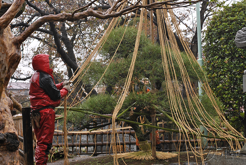 Setting up yukitsuri in the temple garden, Ebina