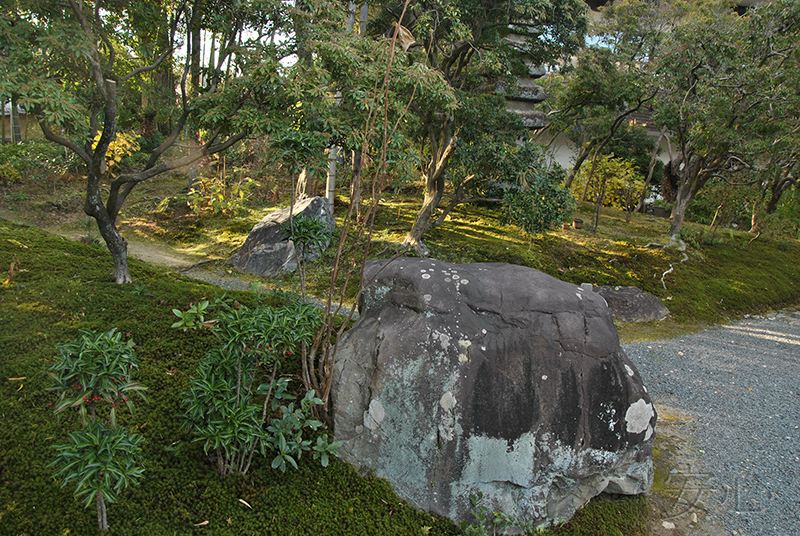 камень в саду Хасимото Кансэцу