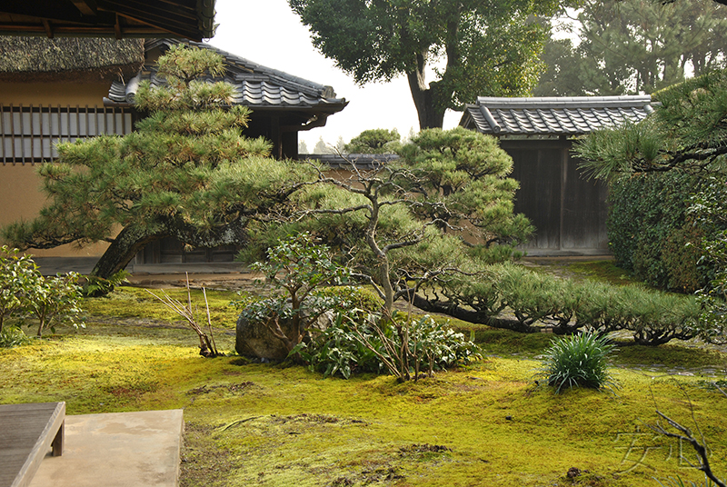 Сад храма Дзико-ин (Jikoin)