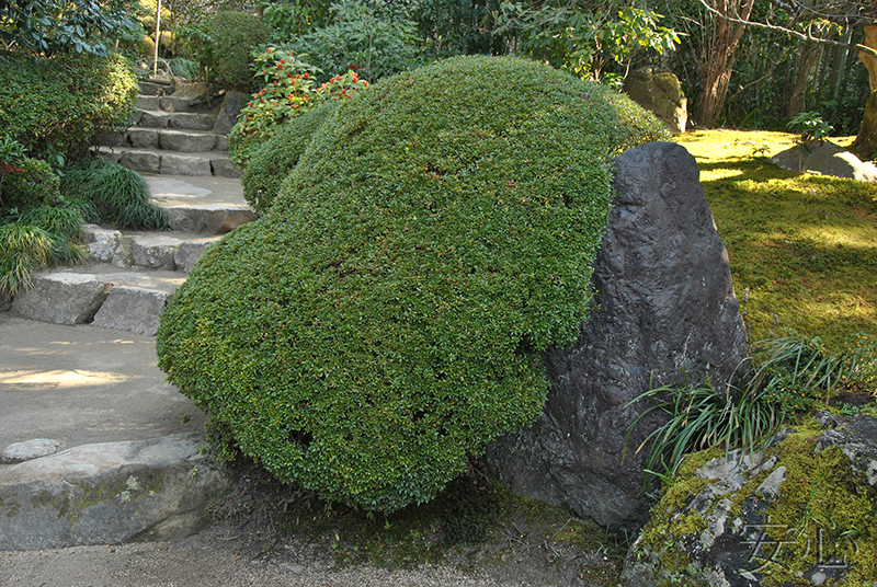 Сад Сисэн-до (Shisendo) в Киото