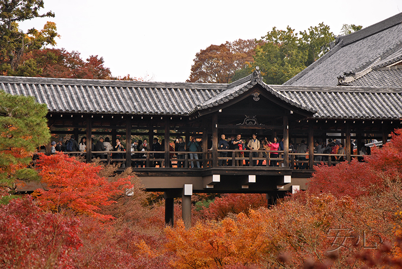 Autumn at Tofuku-ji Temple