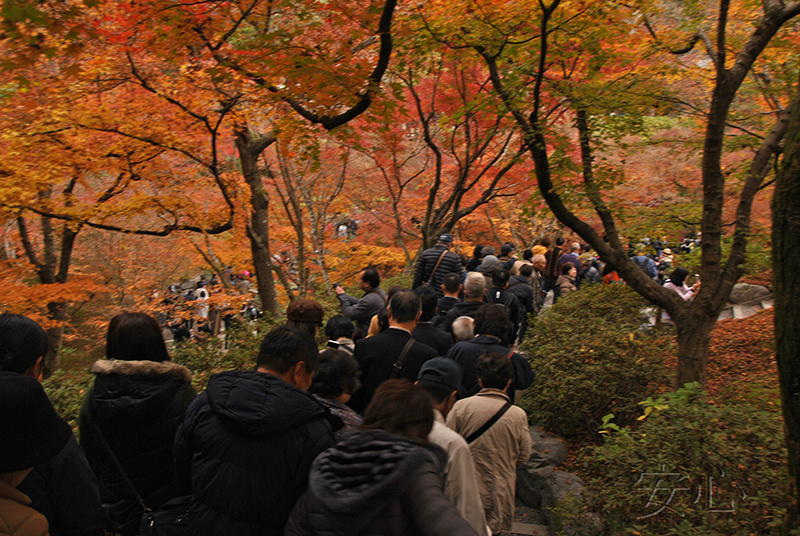 Autumn at Tofuku-ji Temple