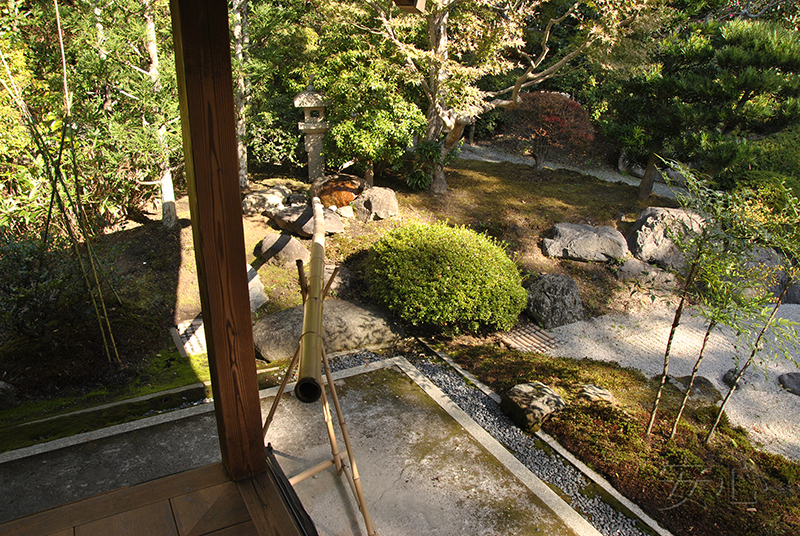 суйкинкуцу в японском саду