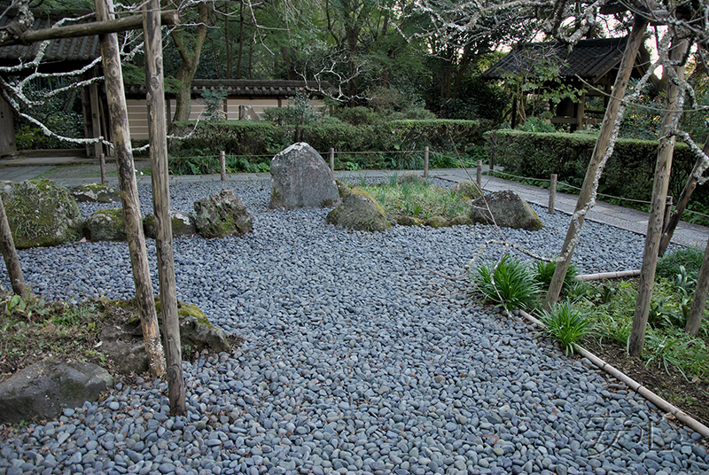 Сад храма Дзуйсэн-дзи
