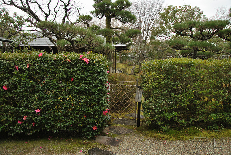 Сад храма Хоккэ-дзи, Нара