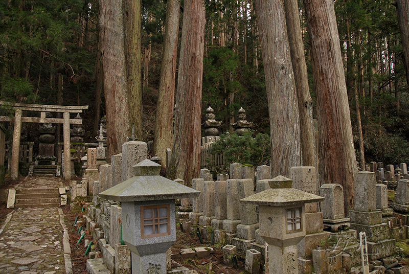 Cemetery on the sacred mountain Koya-san